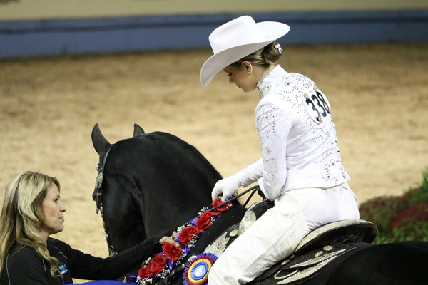 2025 Grand National & World Championship Morgan Horse Show