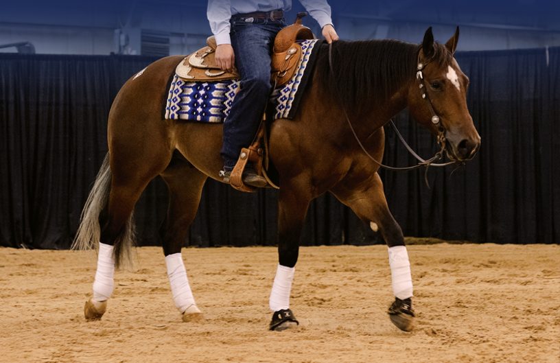 43rd Triangle Winter Sale