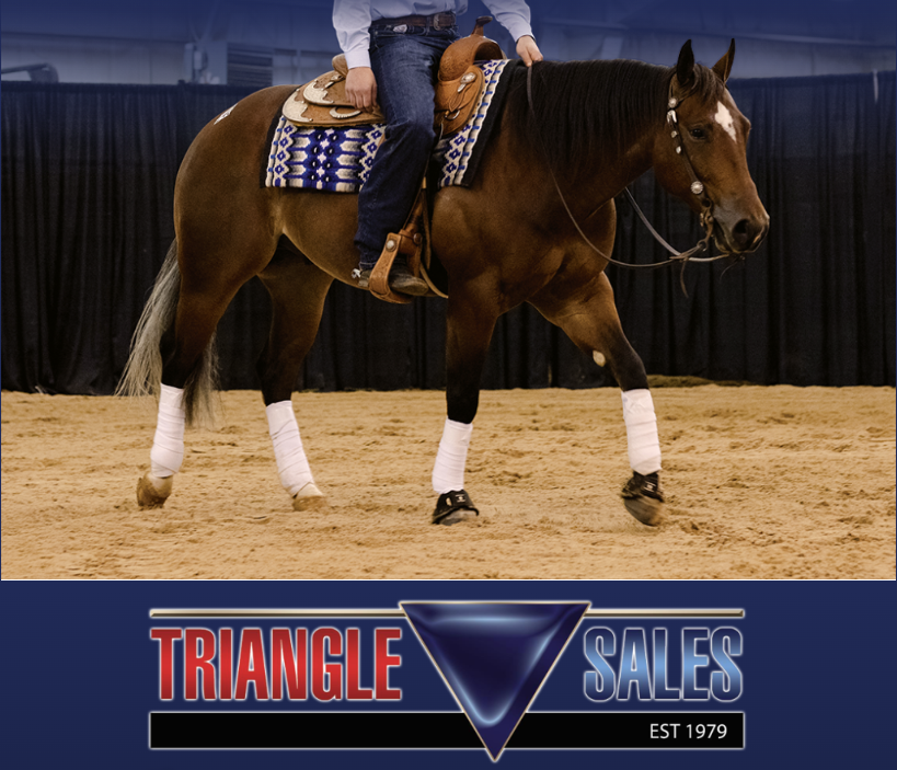 Triangle Fall Sale