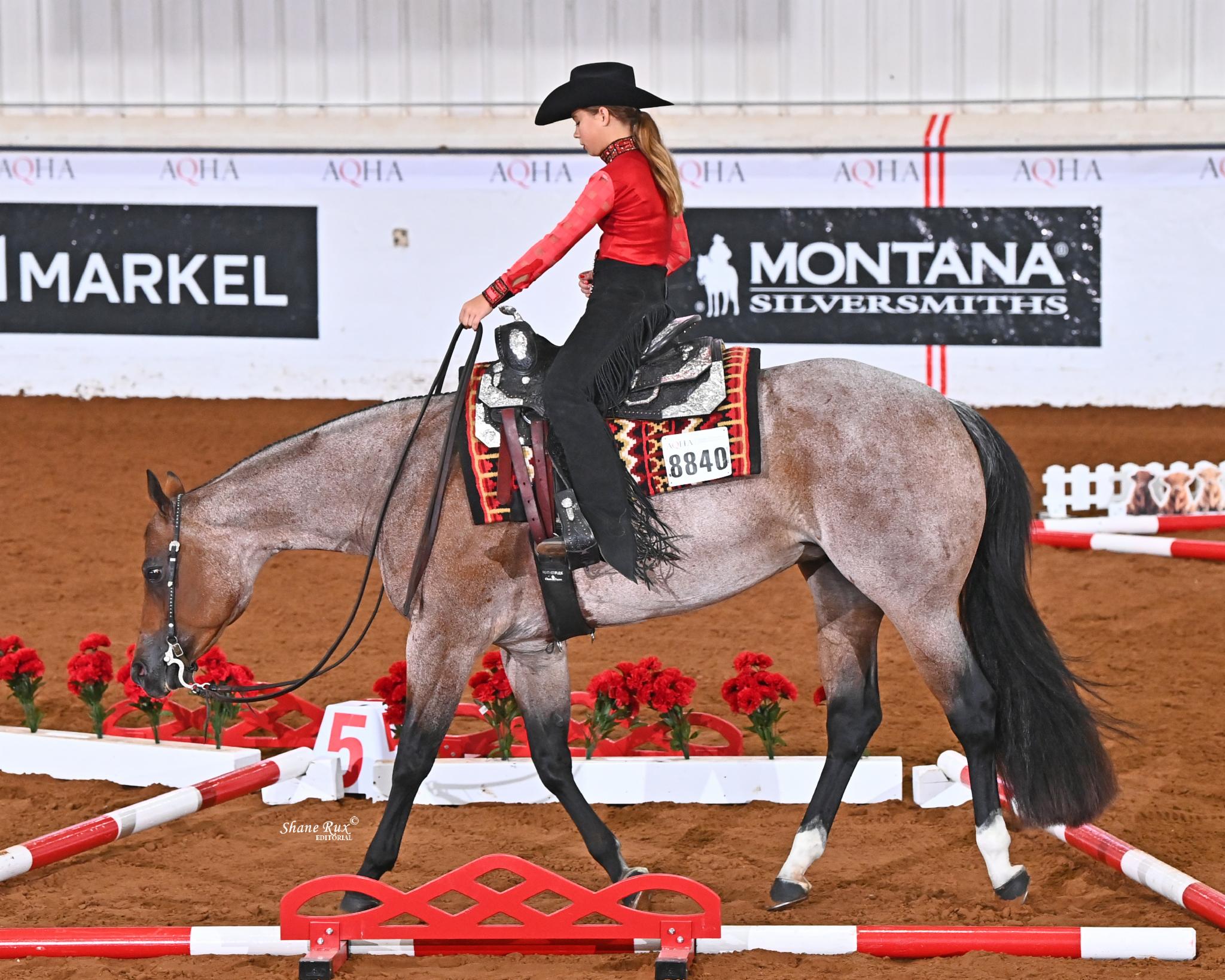 American Quarter Horse Youth World Championship