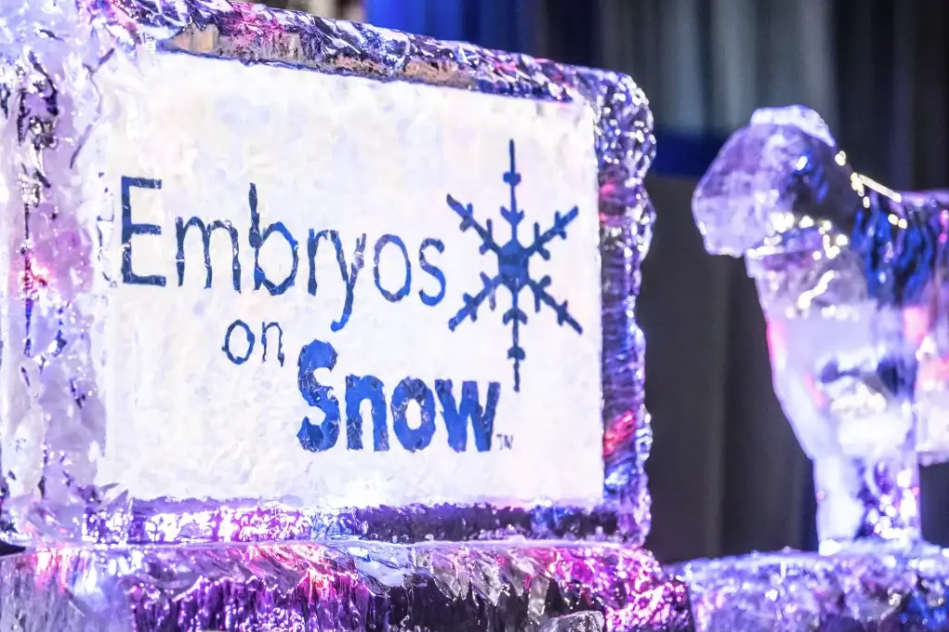 20th Annual Embryos on Snow