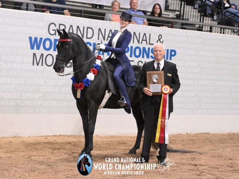 Grand National & World Championship Morgan Horse Show