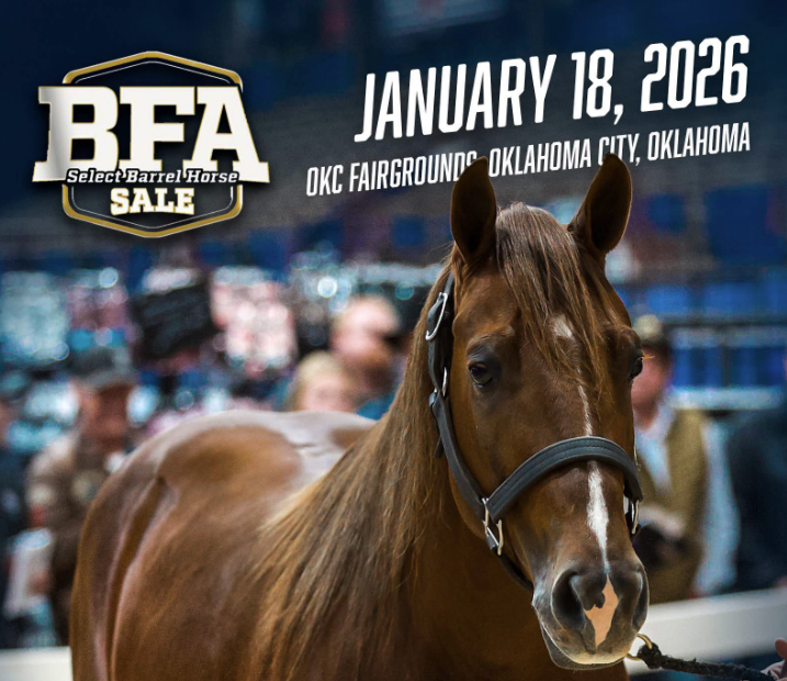 BFA Select Barrel Horse Sale